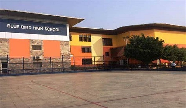 Featured Image of Blue Bird School